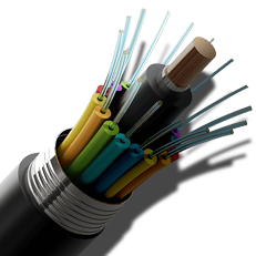 fibre